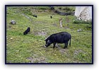 810-07.jpg
