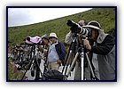 810-11.jpg