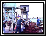 P1000111.JPG
