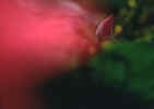 [u(ӫ)1.JPG (18367 Ӧ줸)