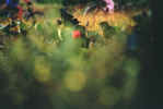 [u(ӫ)5.JPG (35095 Ӧ줸)