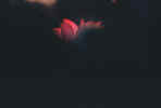 [u(ӫ)6.JPG (8569 Ӧ줸)