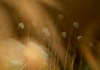 [u(ӫ)8.JPG (27239 Ӧ줸)
