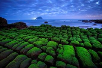 和平島-綠意盎然