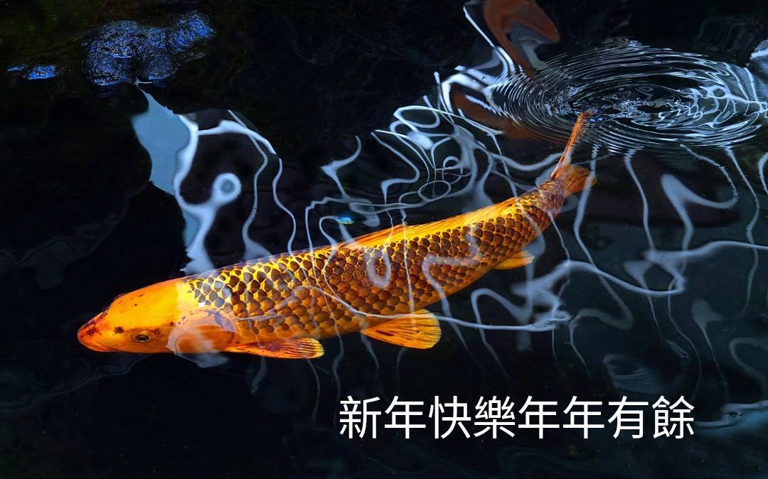 陳老師_有感而發20250130a.jpg