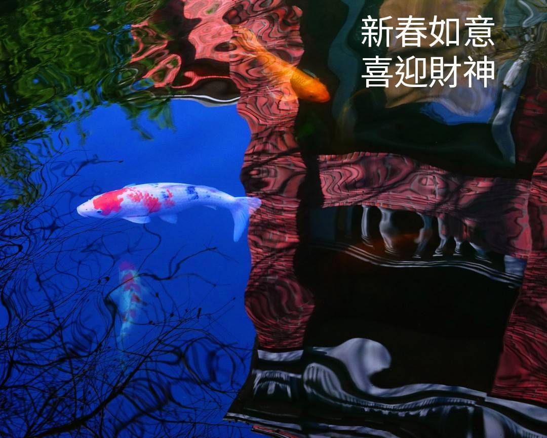 陳老師_有感而發20250131b.jpg