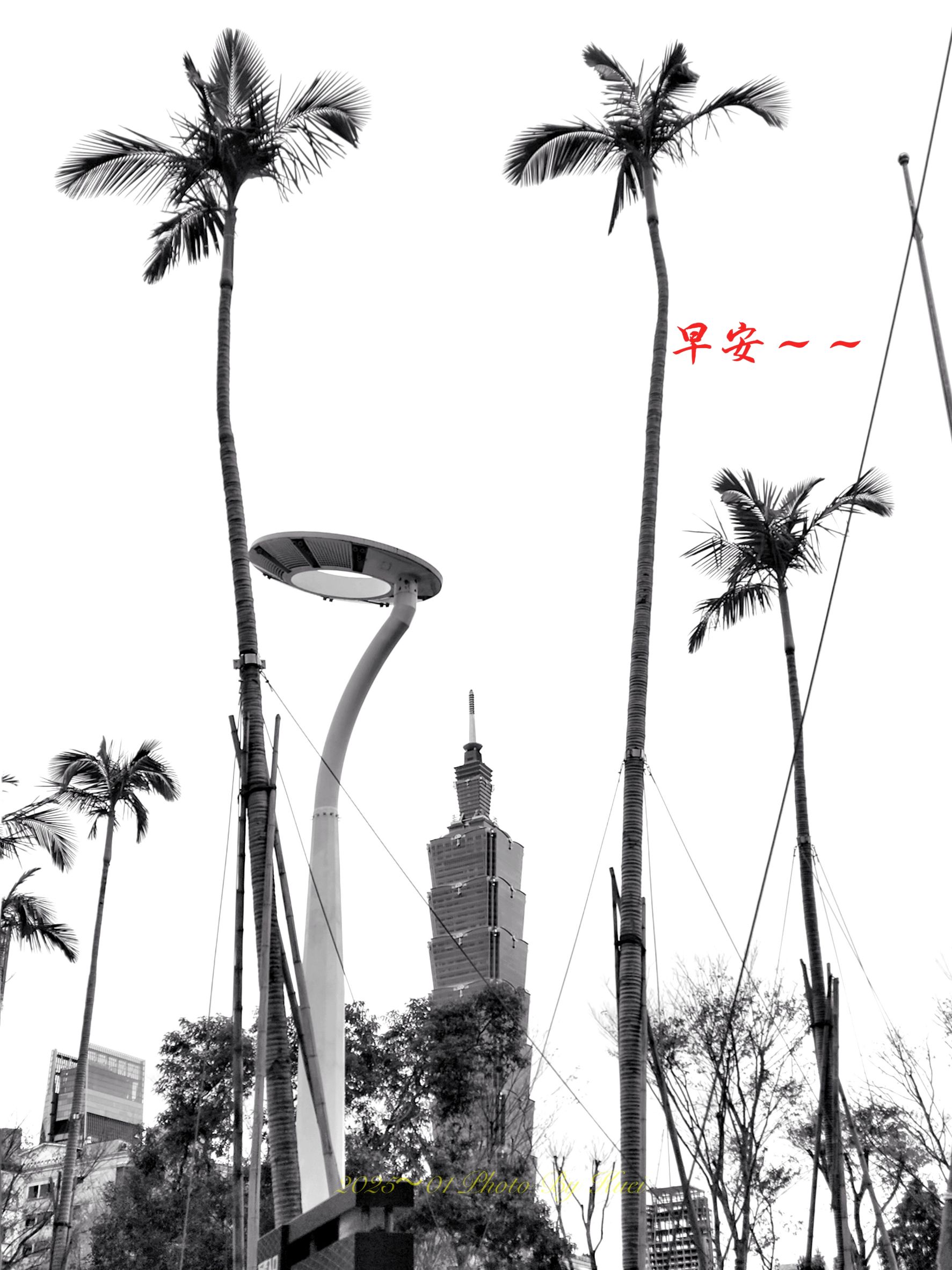 林於貴早安作品20250208.jpg