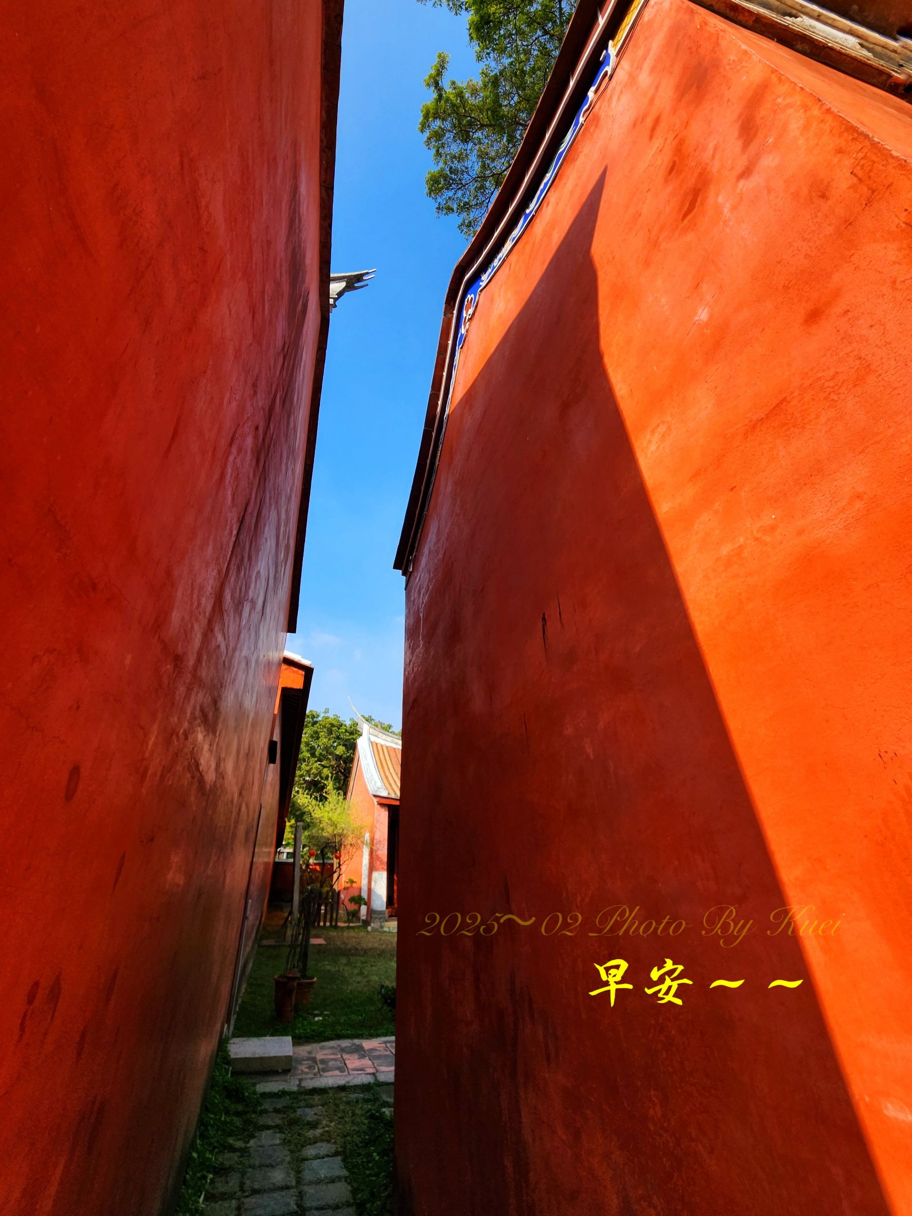 林於貴早安作品20250209.jpg