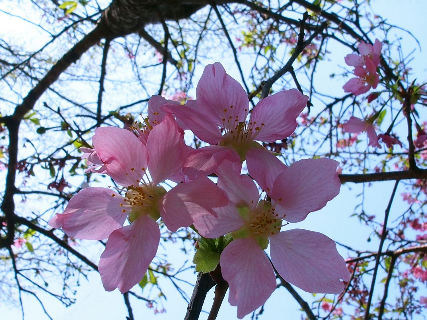 陳老師_有感而發20250329a.jpg