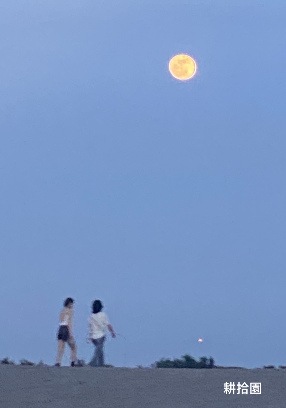 鄭育宏早安作品20250615.jpg