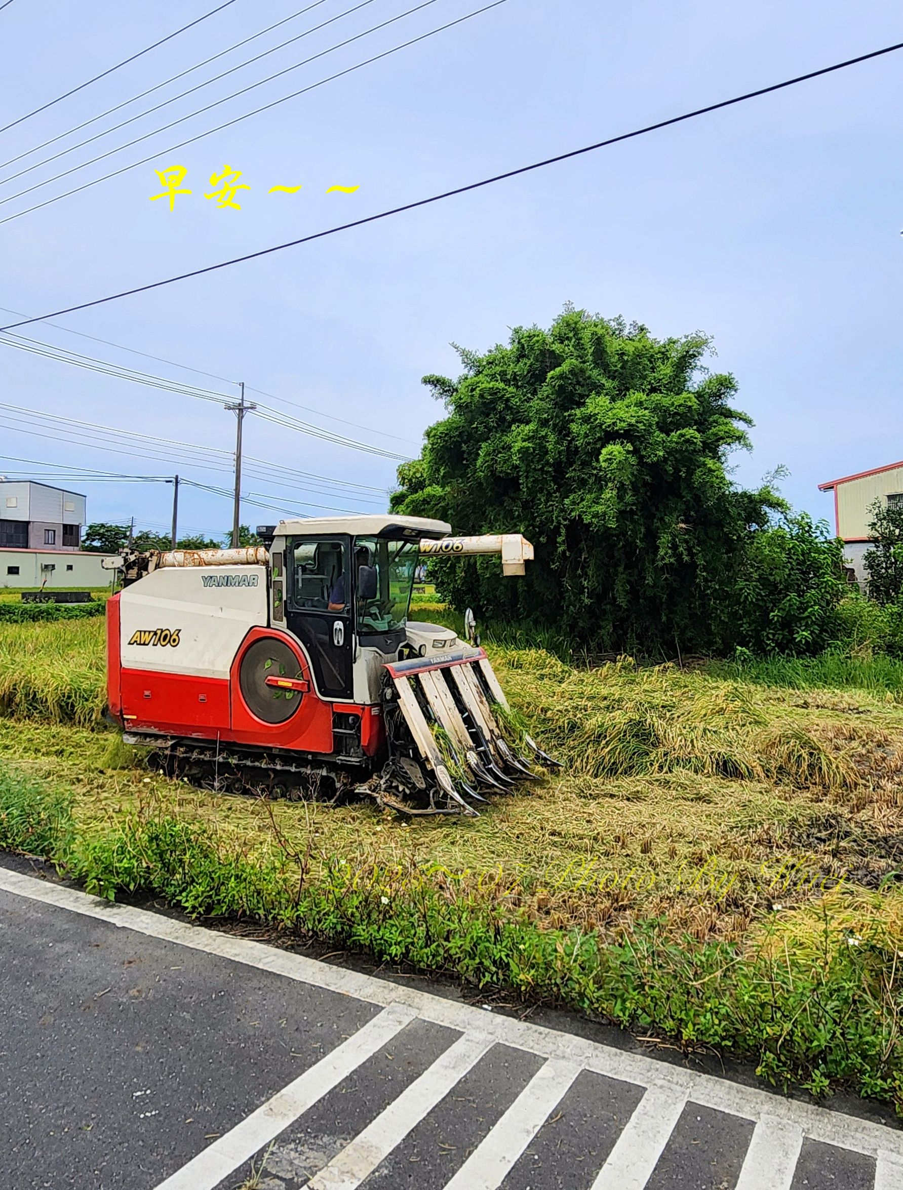 林於貴早安作品20250709.jpg