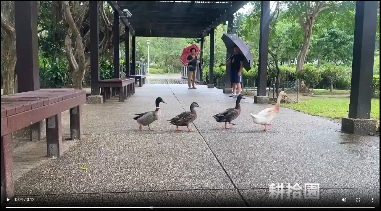 鄭育宏早安作品20250722.jpg