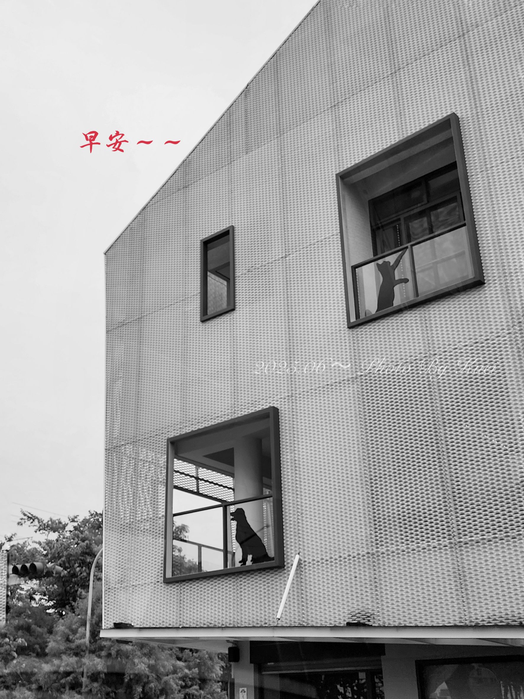林於貴早安作品20250726.jpg