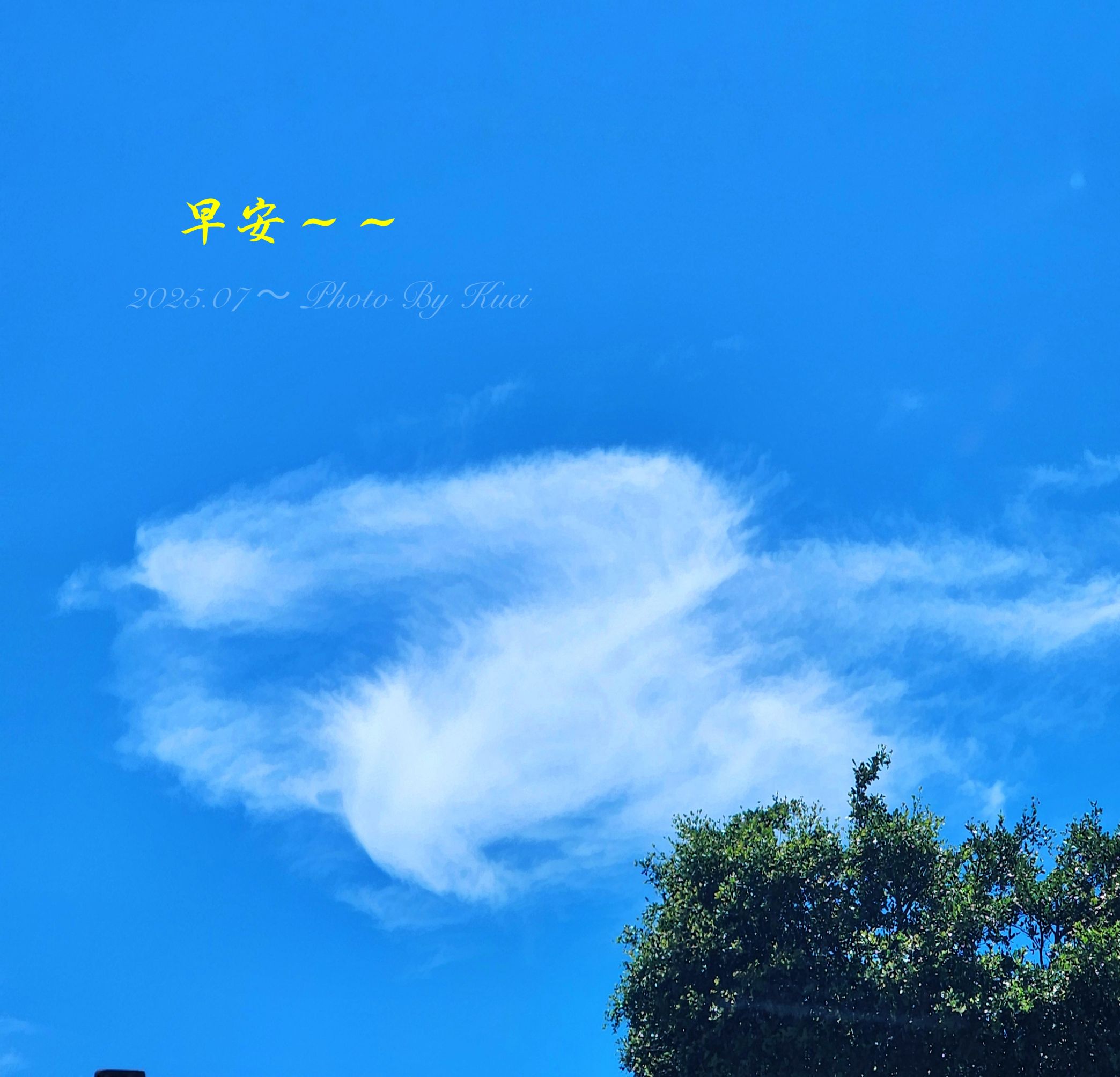 林於貴早安作品20250802.jpg