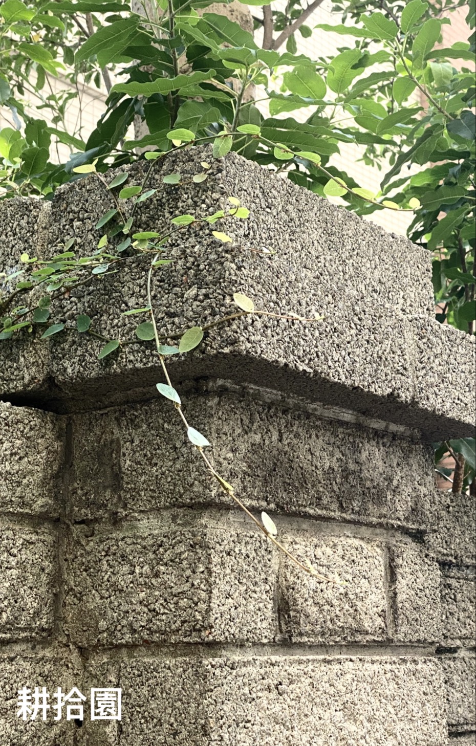 鄭育宏早安作品20250809.jpg