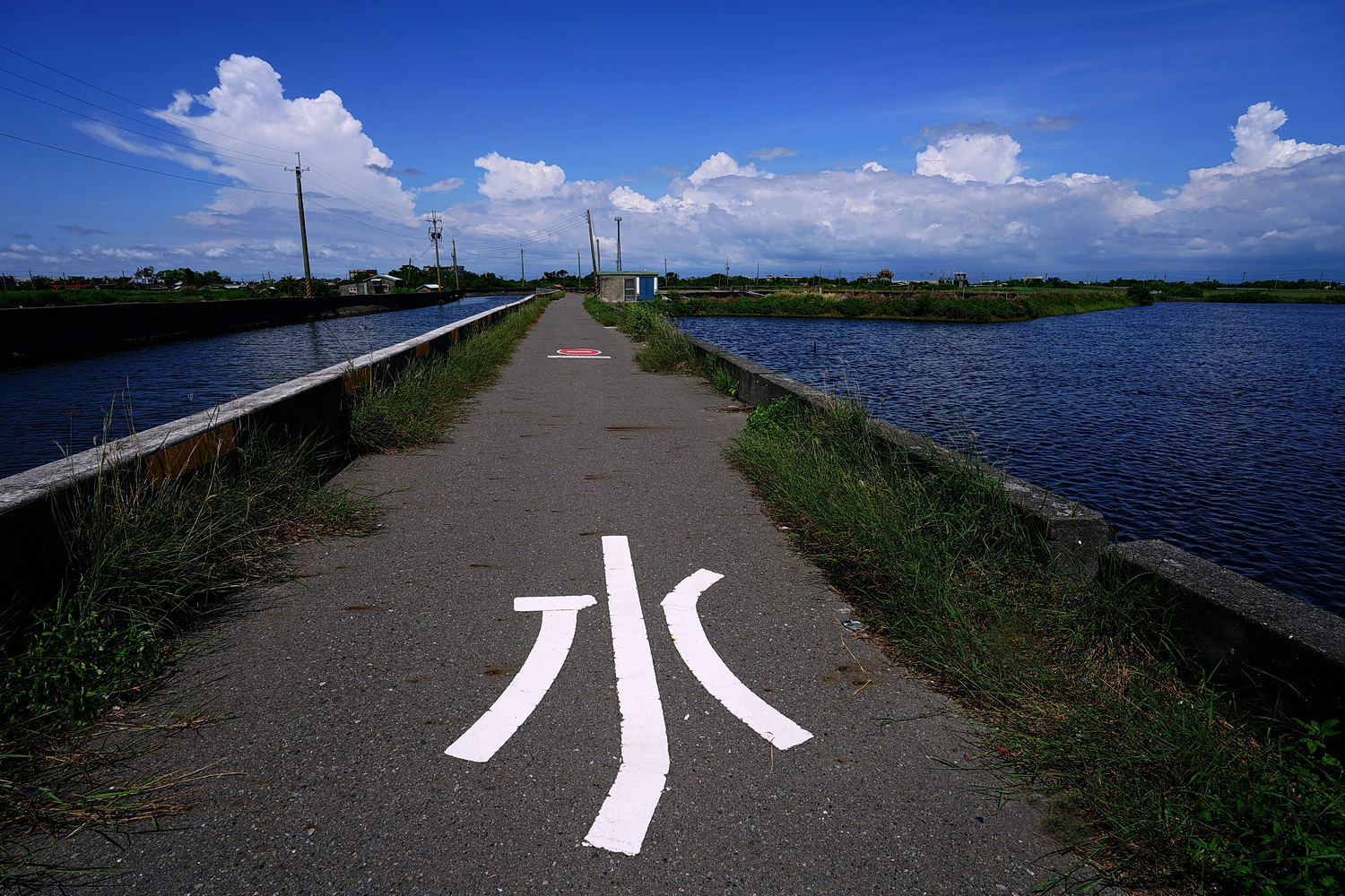 陳永鑑_普濟殿送王20250811a.JPG