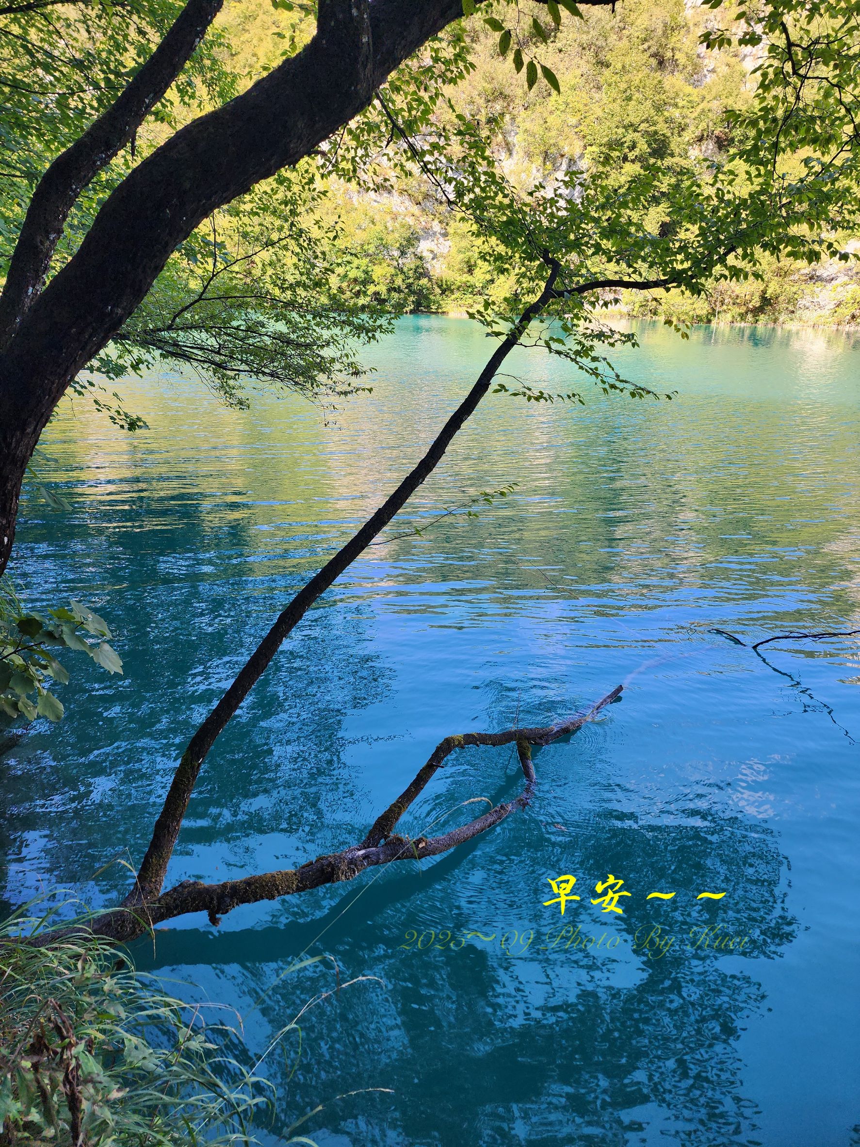 林於貴早安作品20250927.jpg