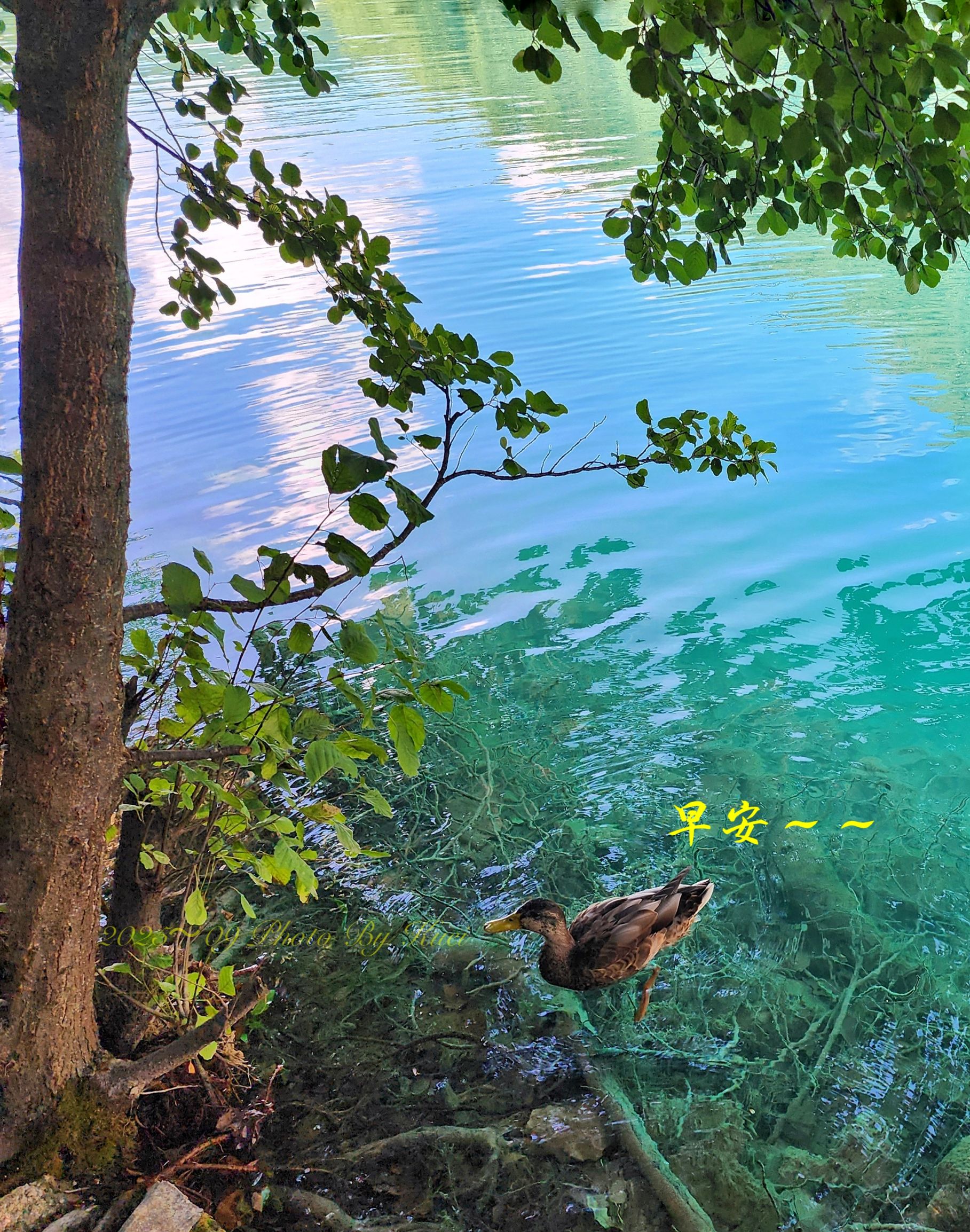 林於貴早安作品20250925.jpg