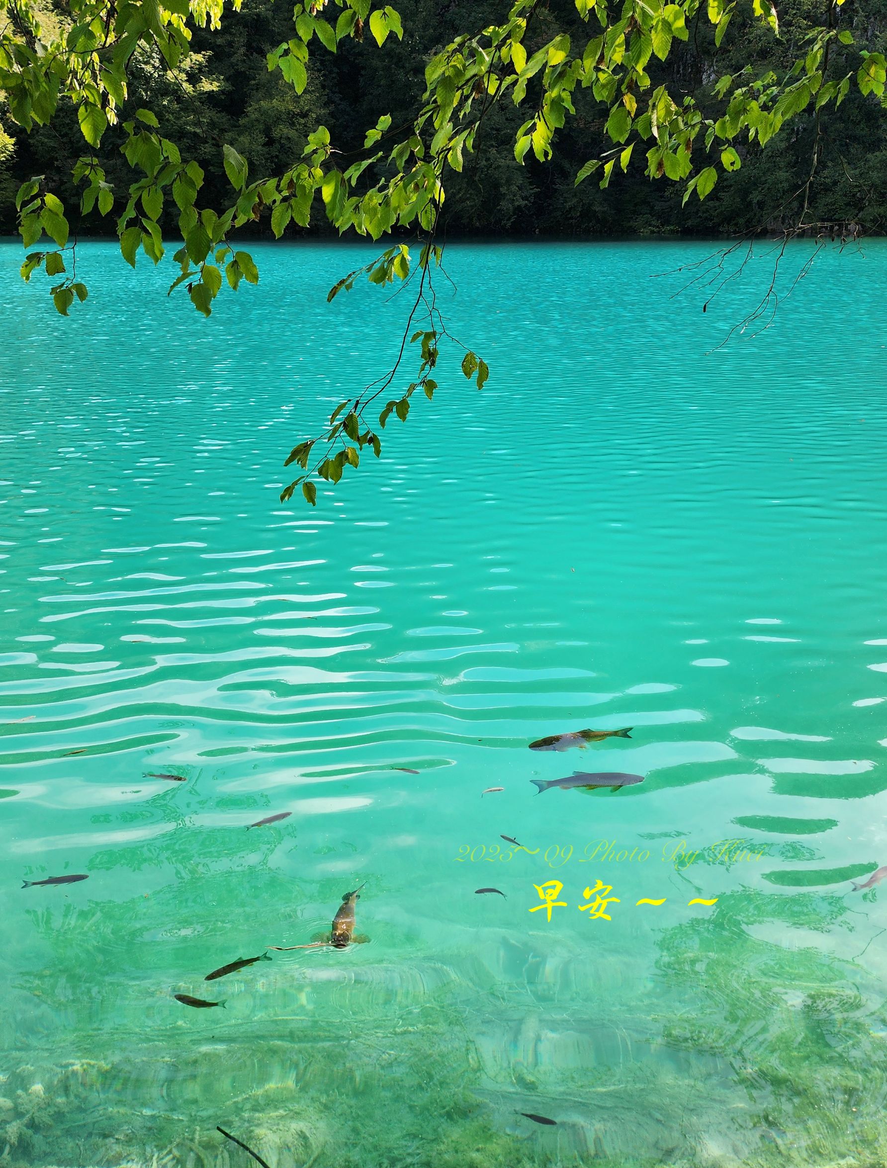 林於貴早安作品20250924.jpg