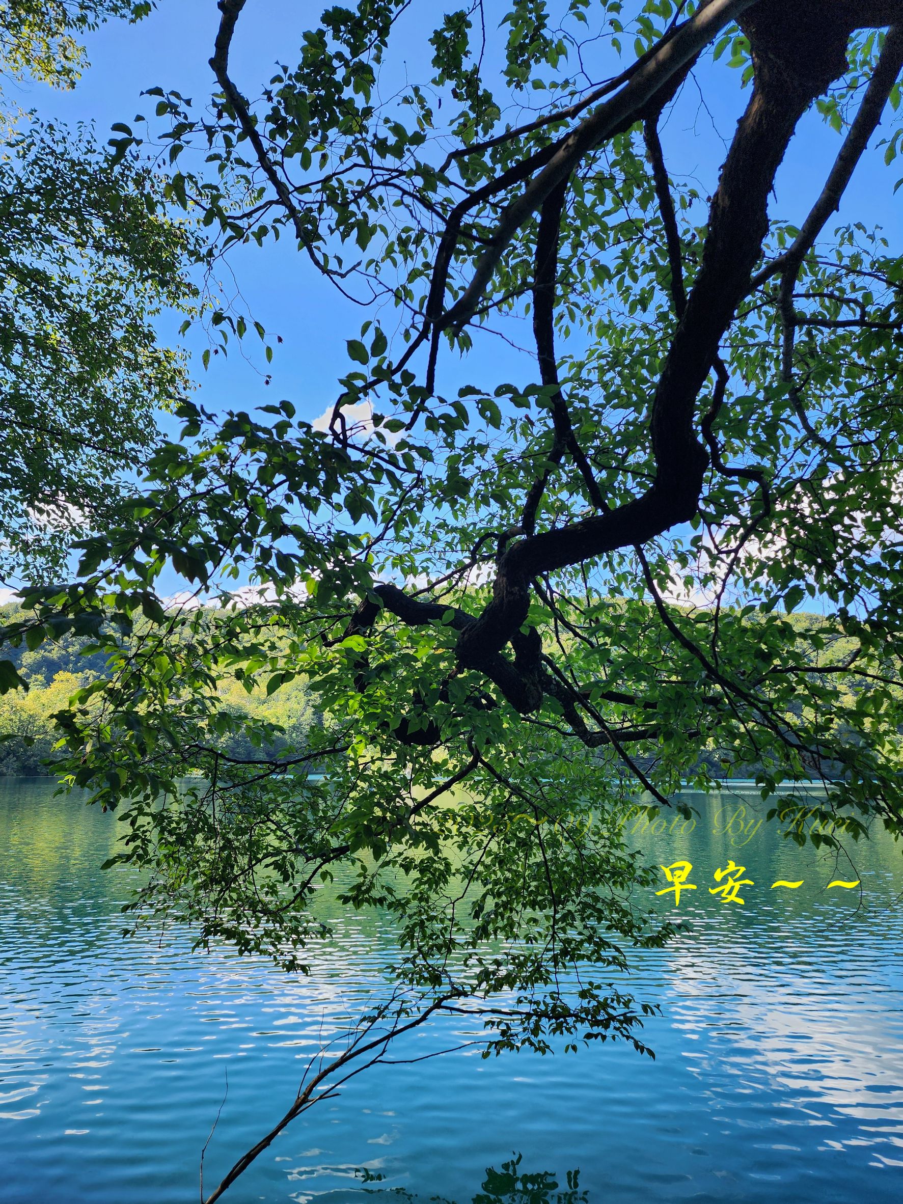 林於貴早安作品20251027.jpg
