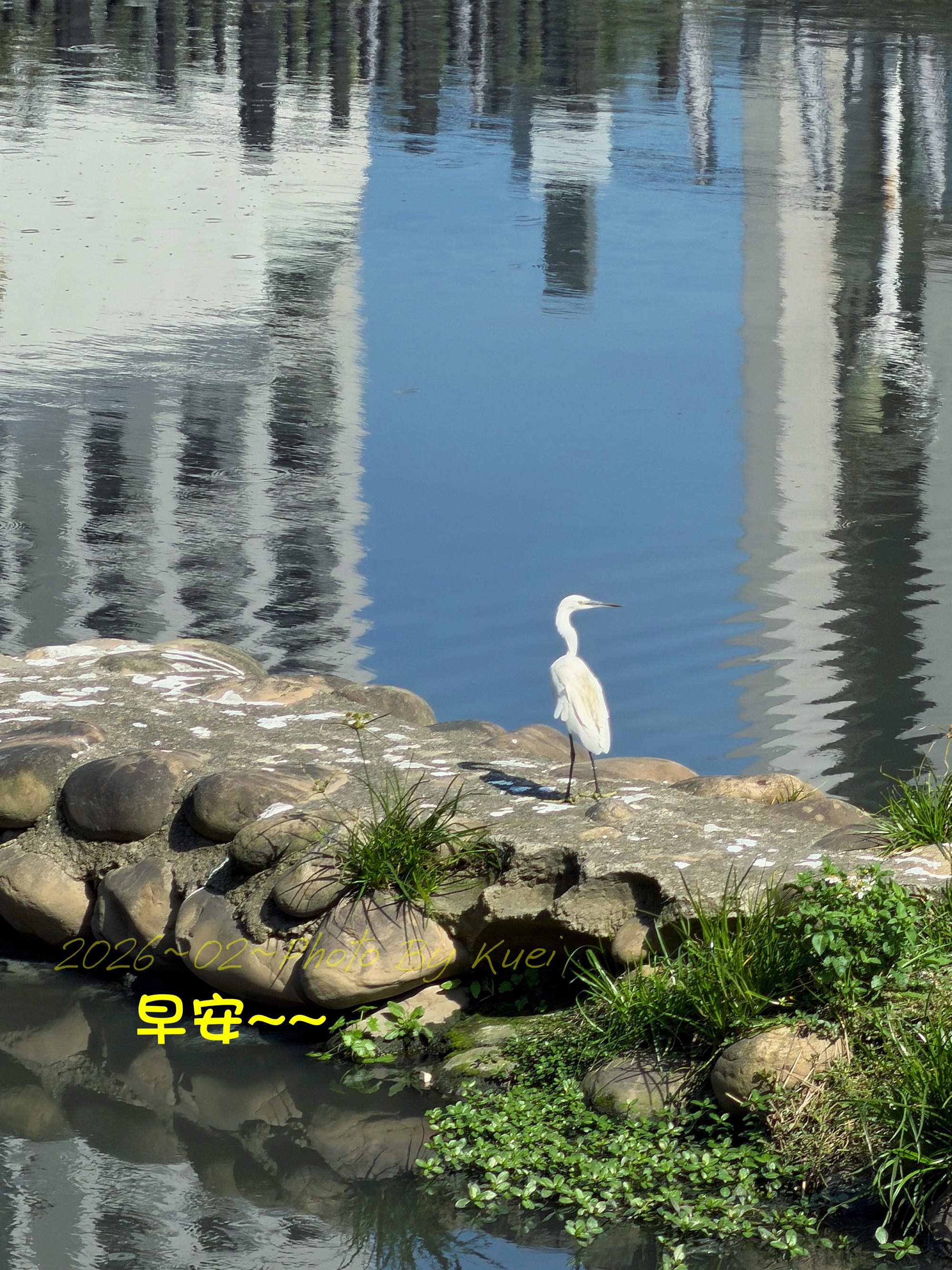 林於貴早安作品20260302.jpg