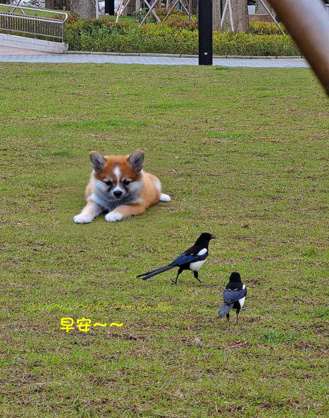林於貴早安作品20260410.jpg