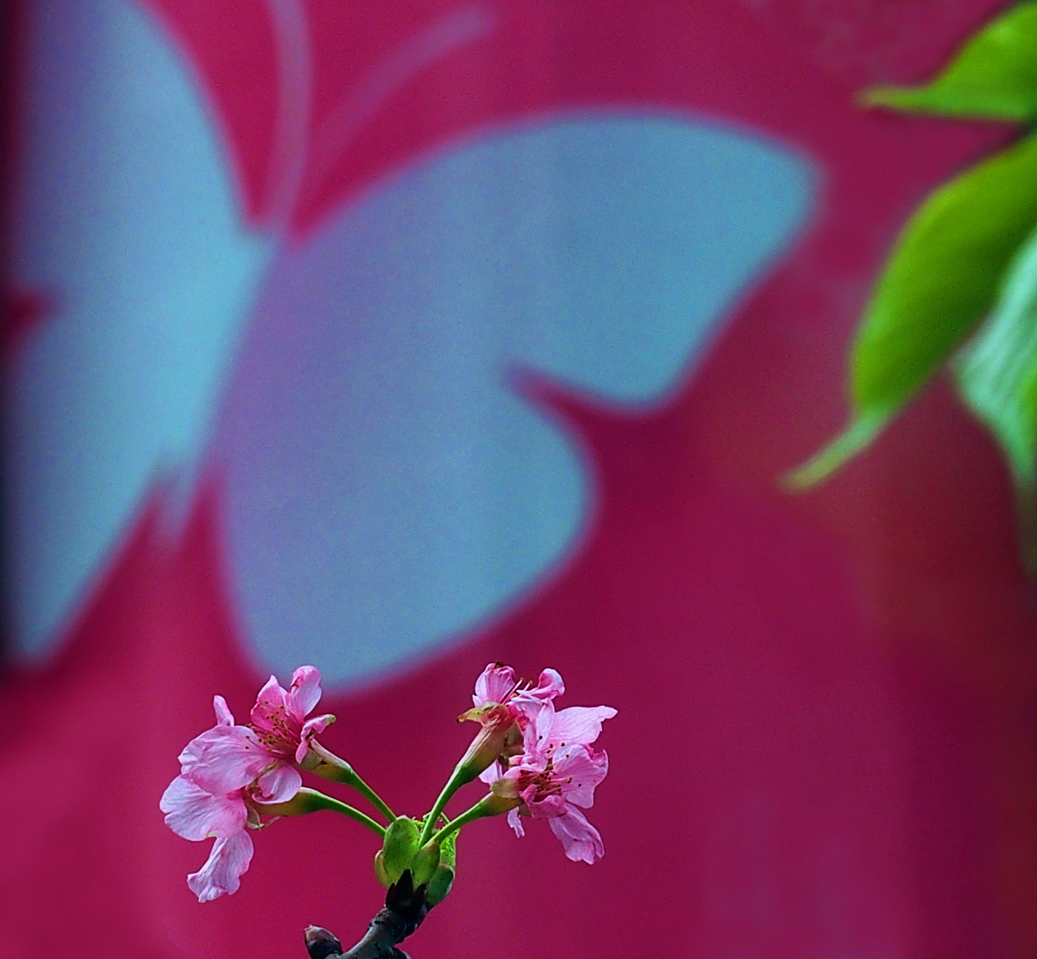 陳永鑑櫻桃花作品20260410b.JPG