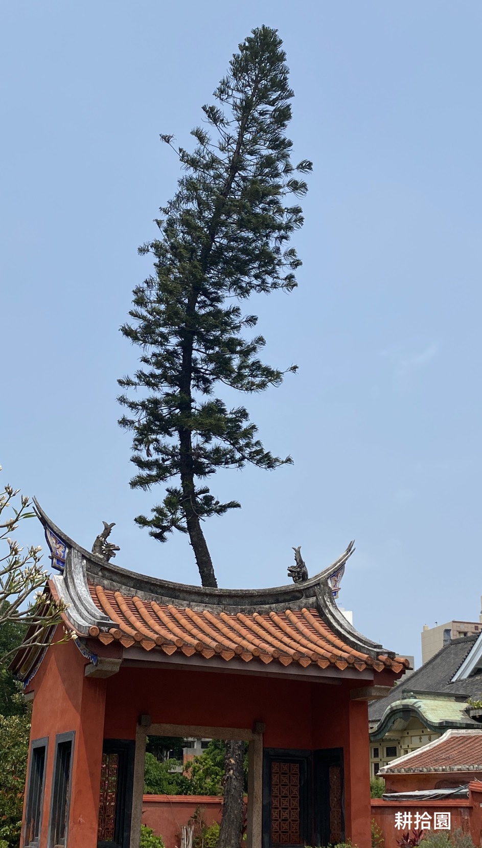 鄭育宏早安作品20250413.jpg