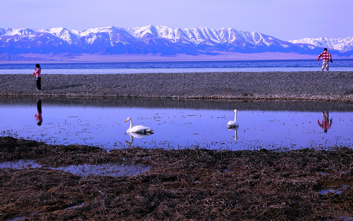 陳永鑑新彊10 日遊20260430o.JPG