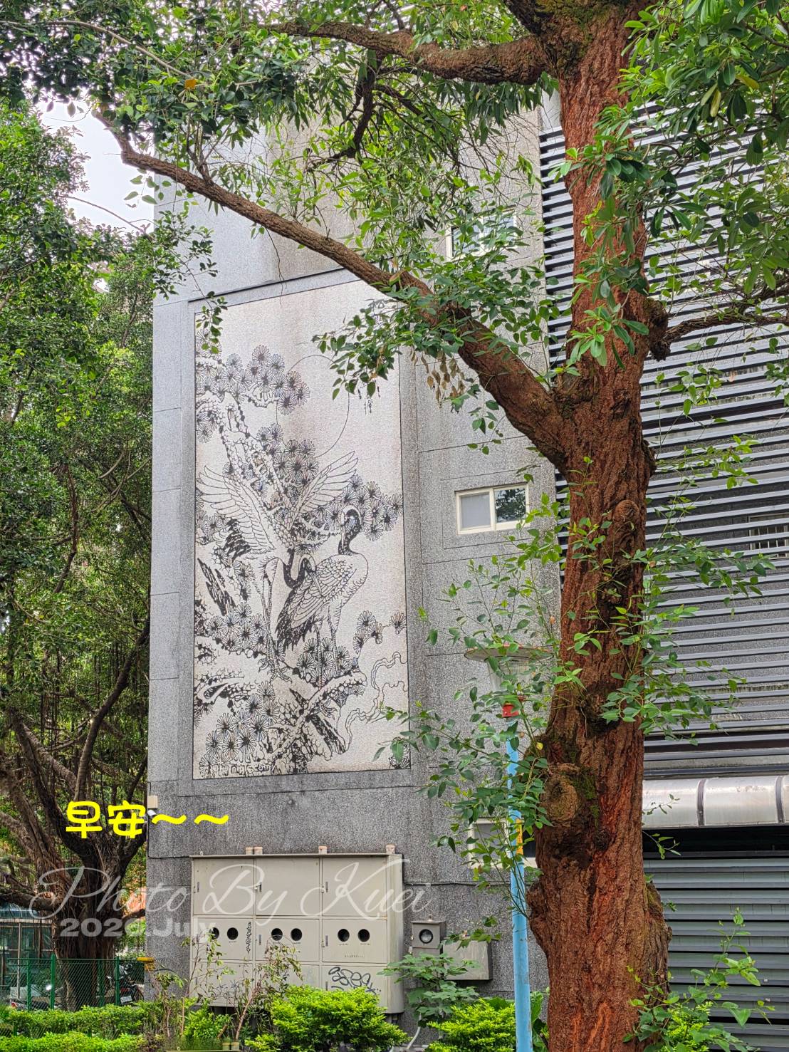 林於貴早安作品20260828.jpg