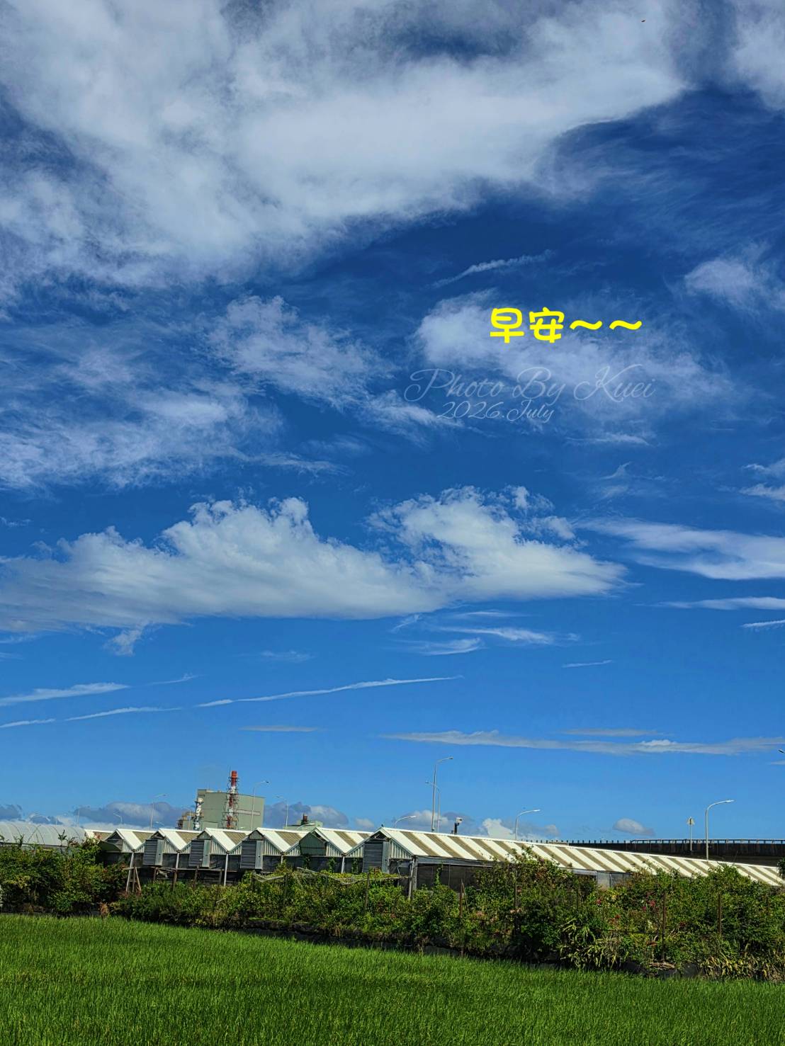 林於貴早安作品20260823.jpg