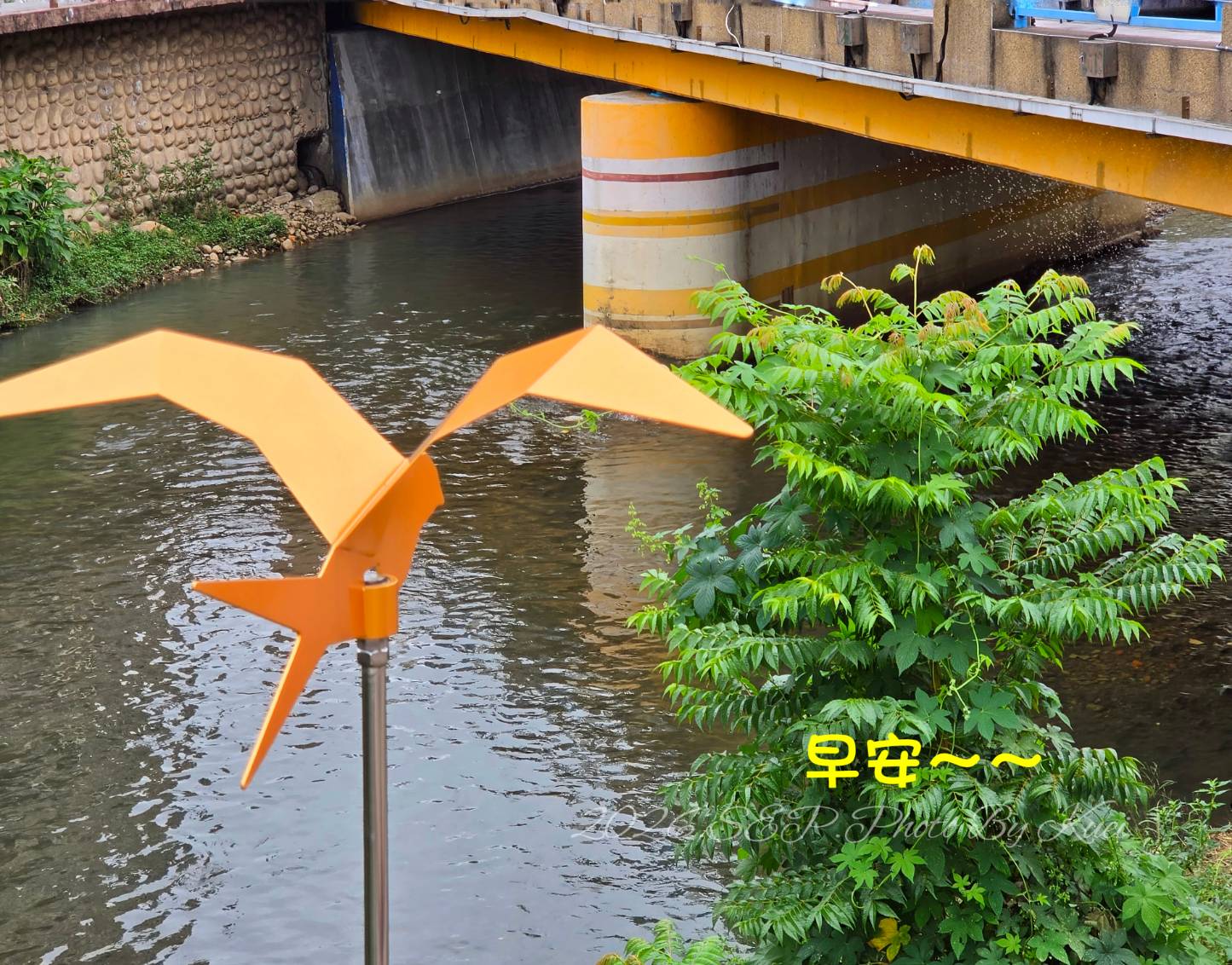 林於貴早安作品20260911.jpg