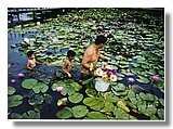C07.jpg C07.jpg