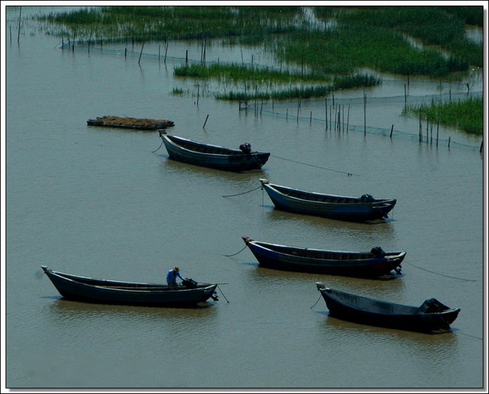 D05.jpg