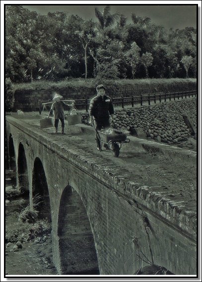 D01.jpg