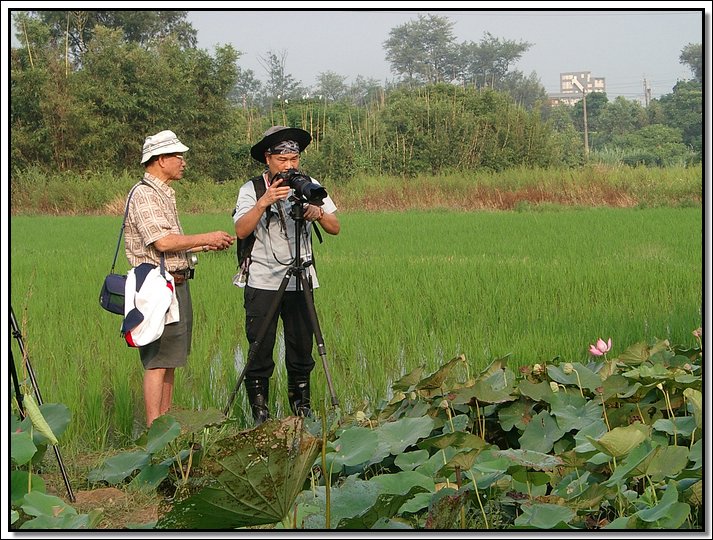 IMGP7259.JPG