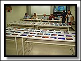 DSC09987.jpg