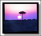 IMG_2799.jpg