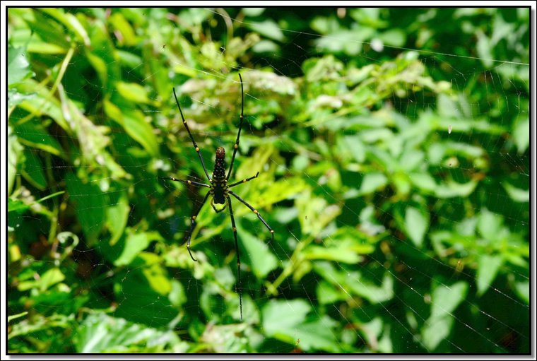 DSC_1279.jpg