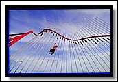 IMG_4006.jpg