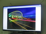 IMG_9963.JPG