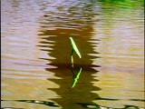 DSC_8644.jpg