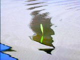 DSC_8645.jpg