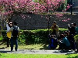 DSC_6950.jpg