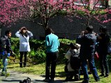 DSC_6981.jpg