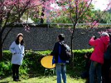 DSC_6992.jpg