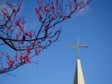 DSC_6994.jpg
