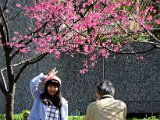 DSC_7007.jpg