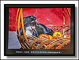 DSC_3301.jpg