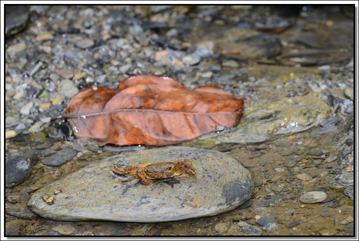DSC_8009.JPG
